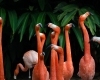 thumb_image_ms_00004